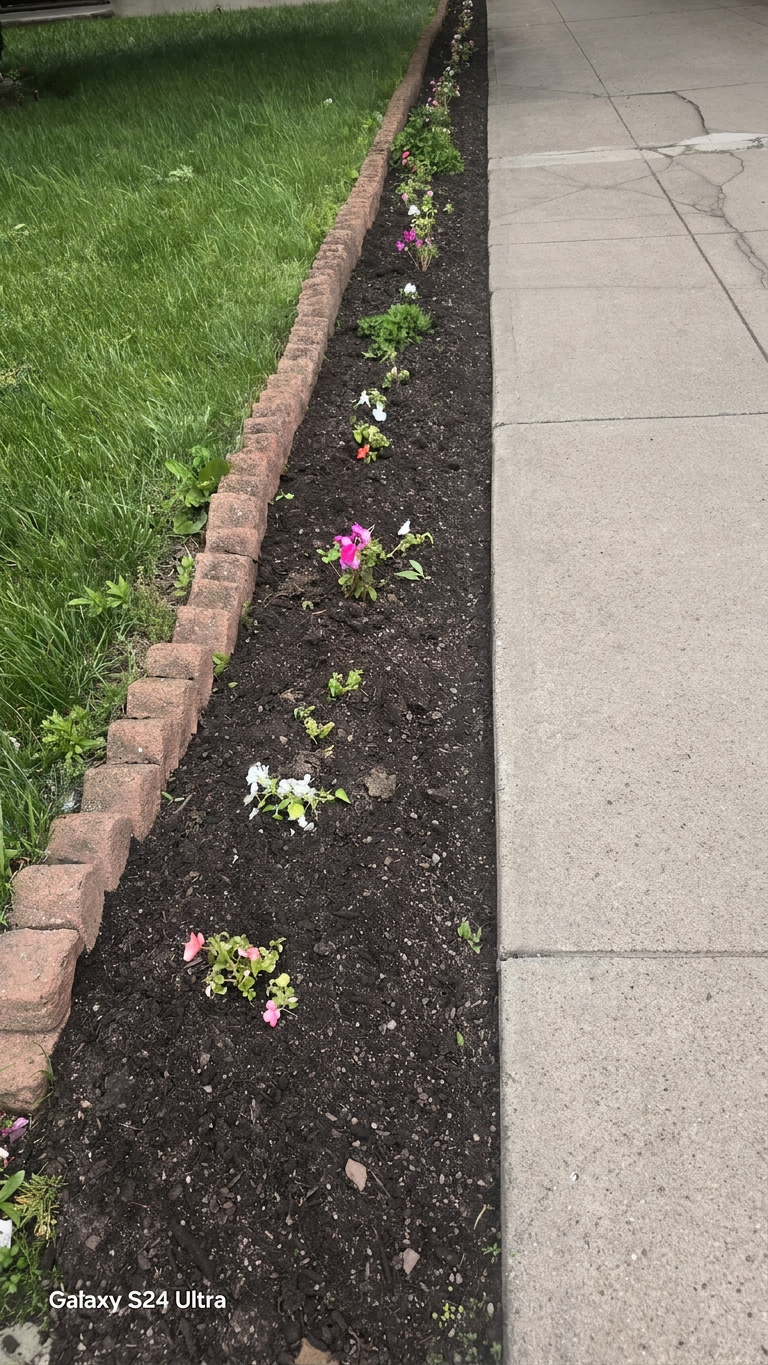 After Curbside Flower Bed