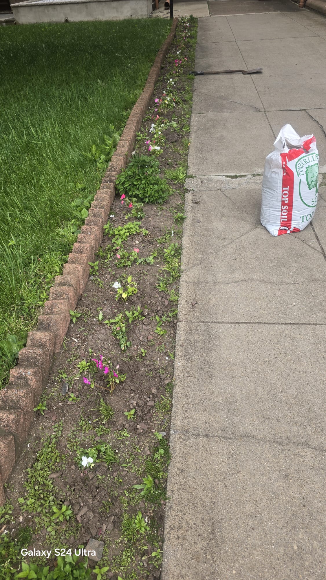 Before Curbside Flower Bed