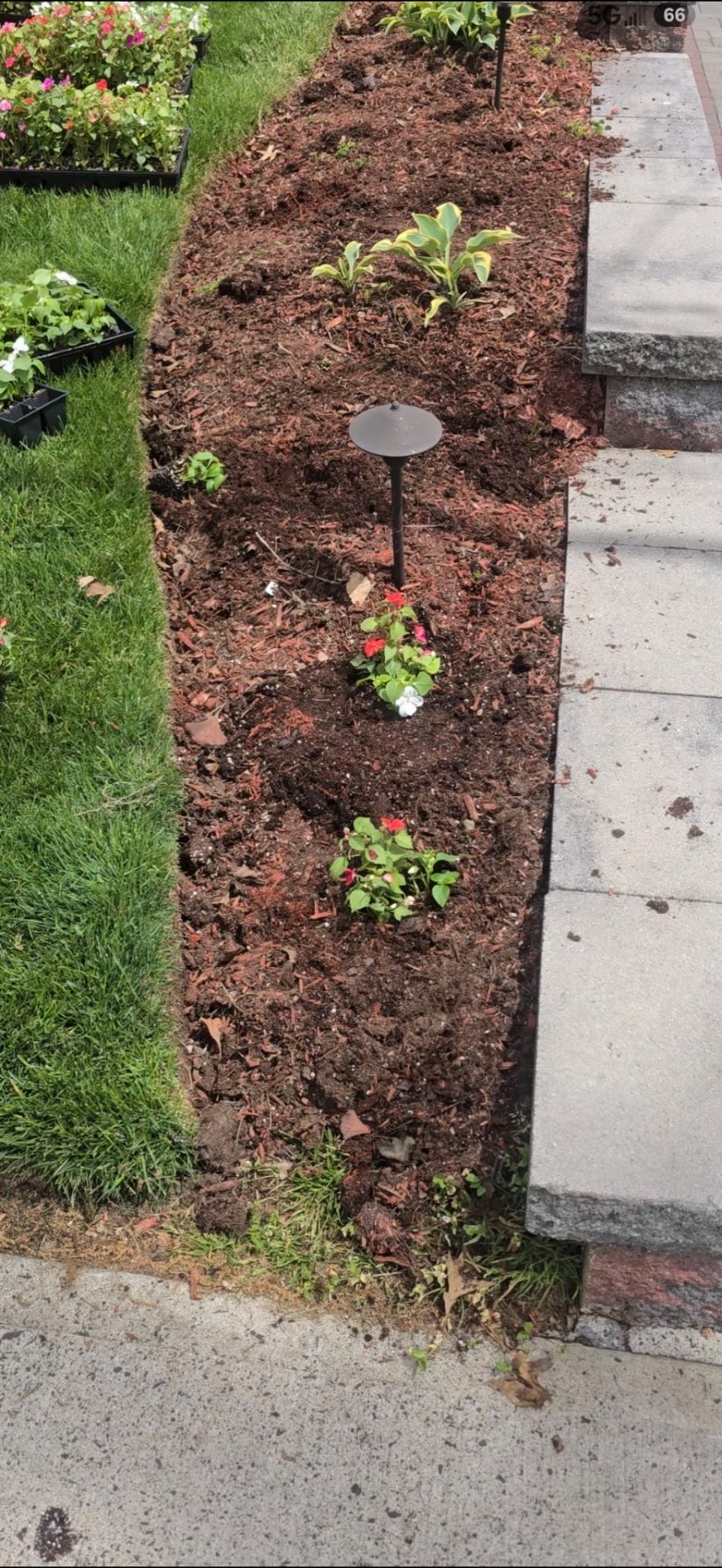 Before Mulch Bed & Planting